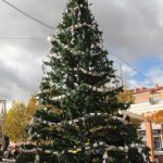 ARBOL10