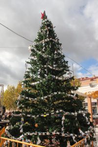 ARBOL10