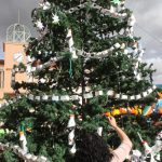 ARBOL11