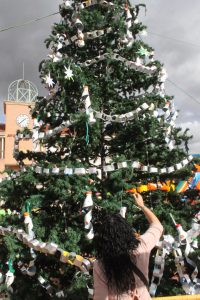 ARBOL11