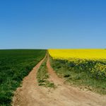 WhatsApp Image 2017-04-08 at 17