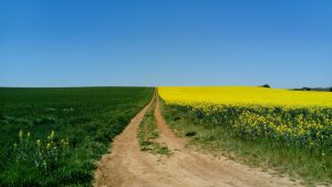 WhatsApp Image 2017-04-08 at 17