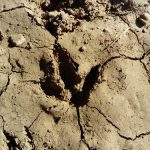 WhatsApp Image 2017-04-08 at 17