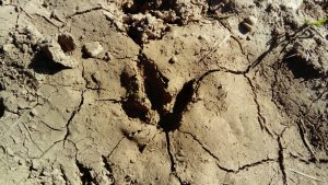 WhatsApp Image 2017-04-08 at 17