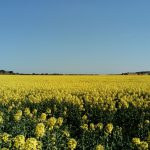 WhatsApp Image 2017-04-08 at 17