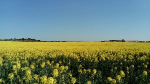 WhatsApp Image 2017-04-08 at 17