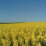 WhatsApp Image 2017-04-08 at 17