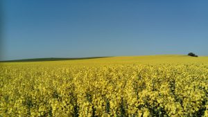 WhatsApp Image 2017-04-08 at 17