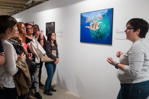 22850374_10155859309218293_1625348210_o