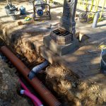 WhatsApp Image 2017-10-25 at 11