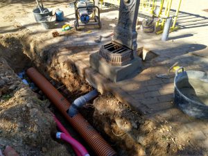 WhatsApp Image 2017-10-25 at 11