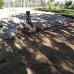 WhatsApp Image 2017-10-25 at 11