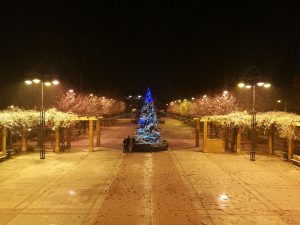 PLAZA DEL PUEBLO NEVADA