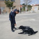 WhatsApp Image 2018-04-20 at 15