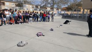 WhatsApp Image 2018-04-20 at 15