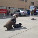 WhatsApp Image 2018-04-20 at 15