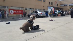 WhatsApp Image 2018-04-20 at 15