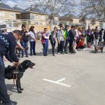 WhatsApp Image 2018-04-20 at 15