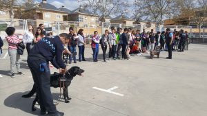 WhatsApp Image 2018-04-20 at 15