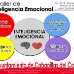 CARTEL INTELIGENCIA EMOCIONAL WEB