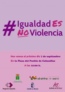 CARTEL IGUALDAD ES NO VIOLENCIA WEB
