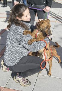 Hogar Amigo en Cabanillas_1