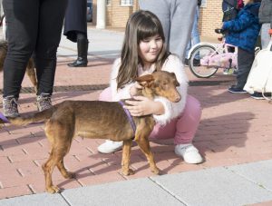 Hogar Amigo en Cabanillas_11