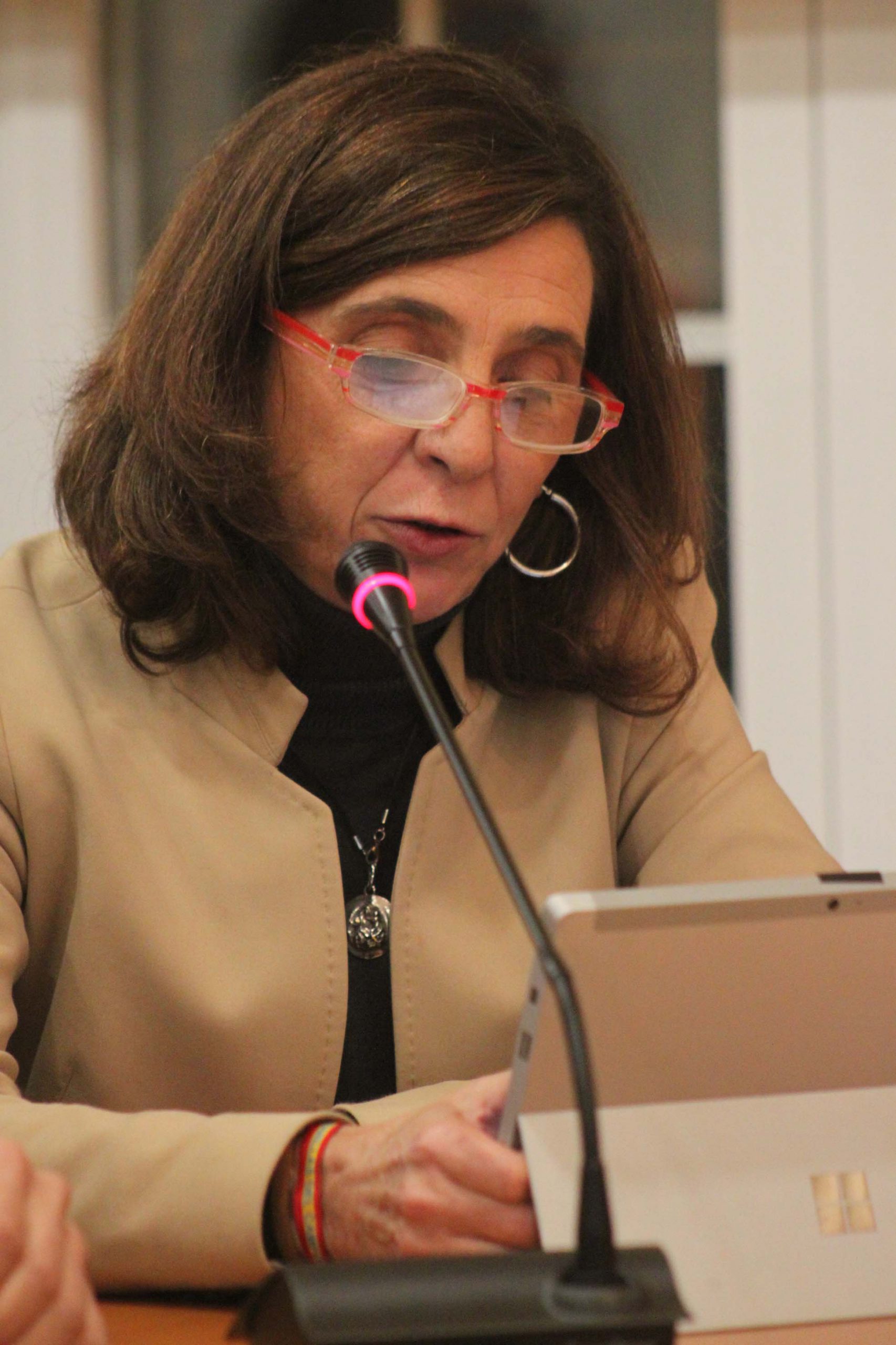 IMG_7083 Ayto. Cabanillas