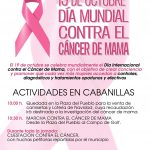 CARTEL CANCER DE MAMA WEB