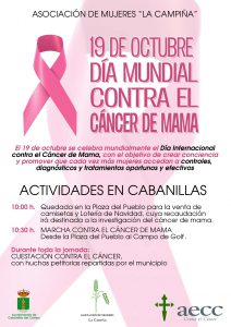 CARTEL CANCER DE MAMA WEB